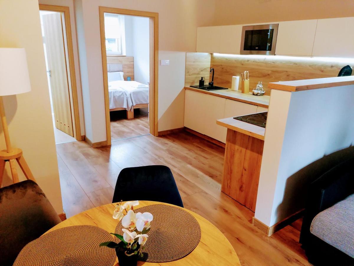 Apartamenty Pruskie Карпач Стая снимка